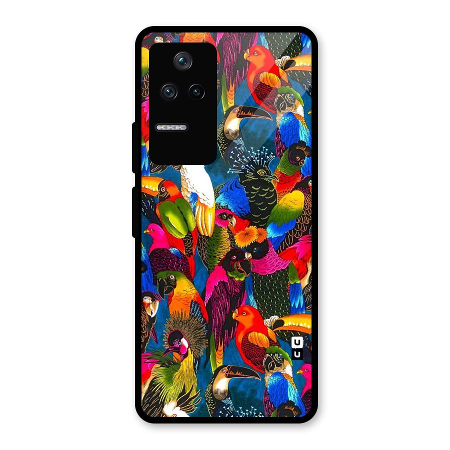Parrot Art Glass Back Case for Poco F4 5G