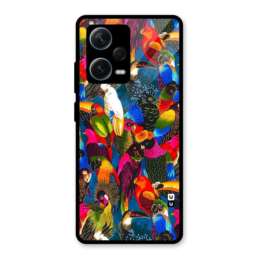 Parrot Art Glass Back Case for Redmi Note 12 Pro Plus 5G