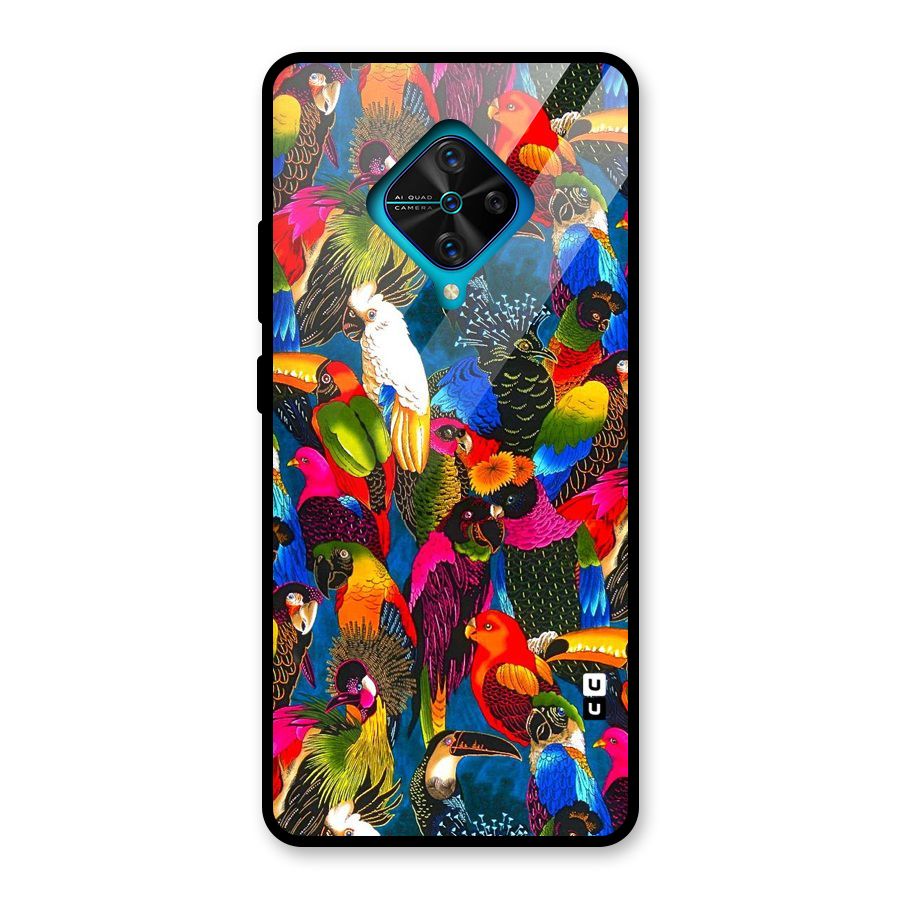 Parrot Art Glass Back Case for Vivo S1 Pro