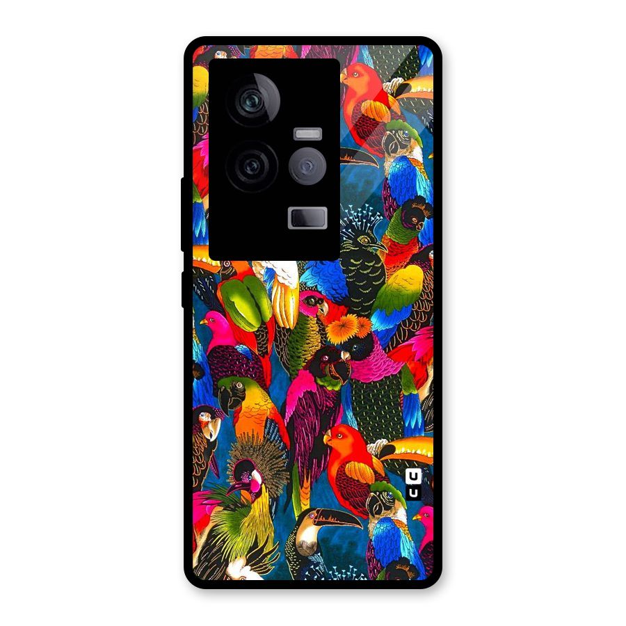 Parrot Art Glass Back Case for Vivo iQOO 11 5G