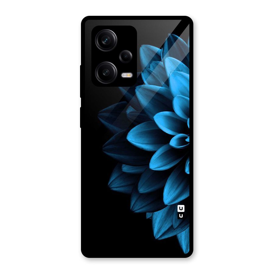Petals In Blue Glass Back Case for Redmi Note 12 Pro