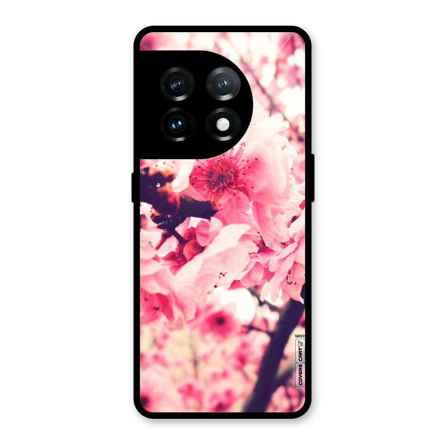 Pretty Pink Flowers Glass Back Case for OnePlus 11