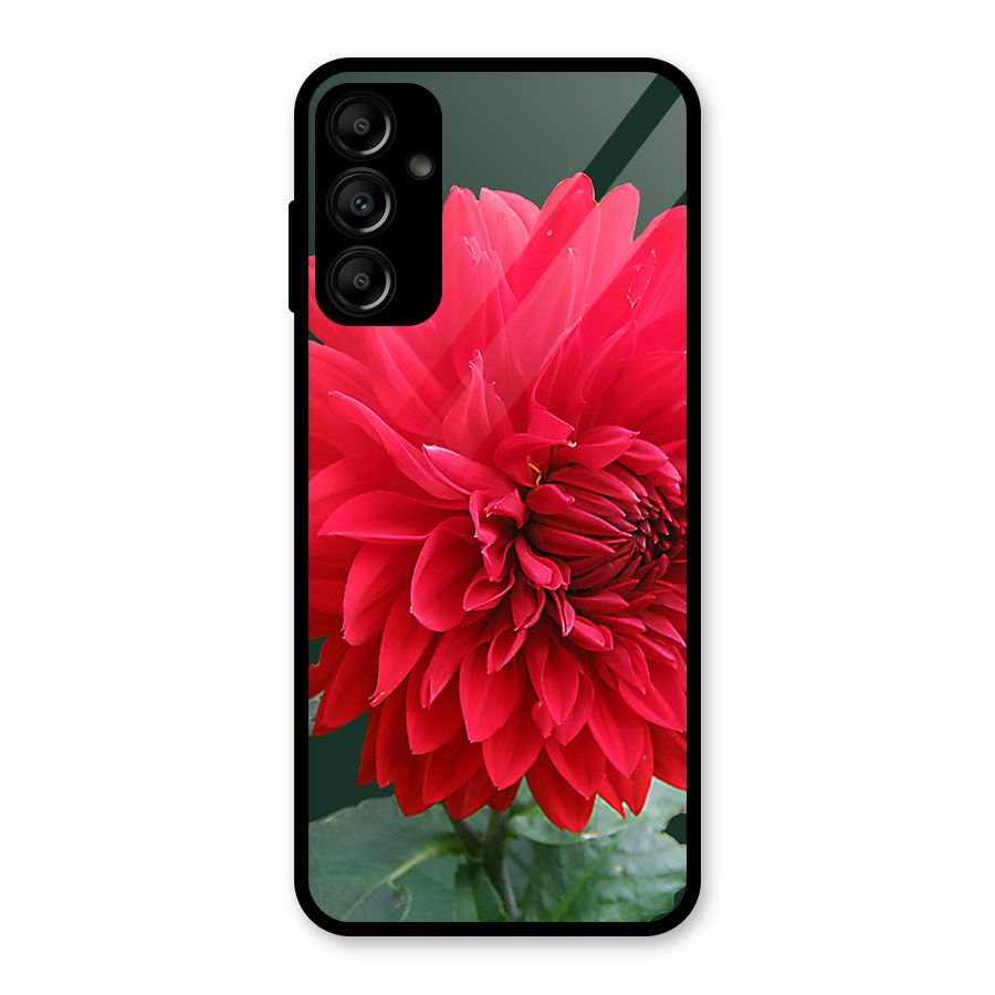RedFlower. Glass Back Case for Galaxy A14 5G
