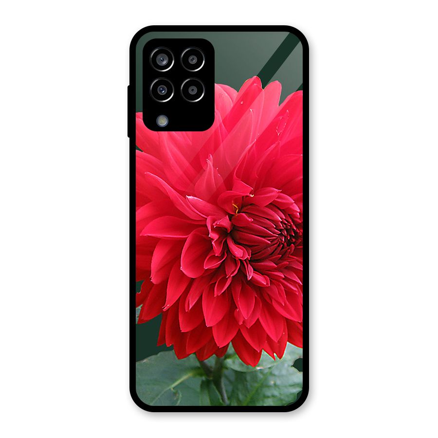 RedFlower. Glass Back Case for Galaxy M33