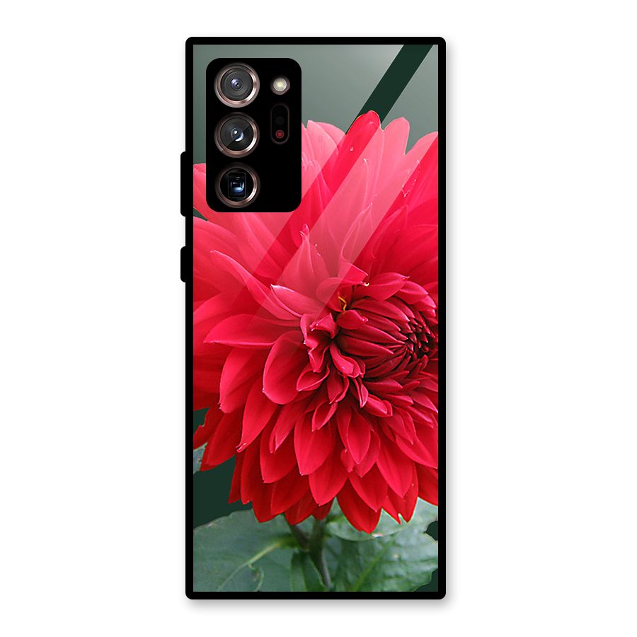 RedFlower. Glass Back Case for Galaxy Note 20 Ultra 5G