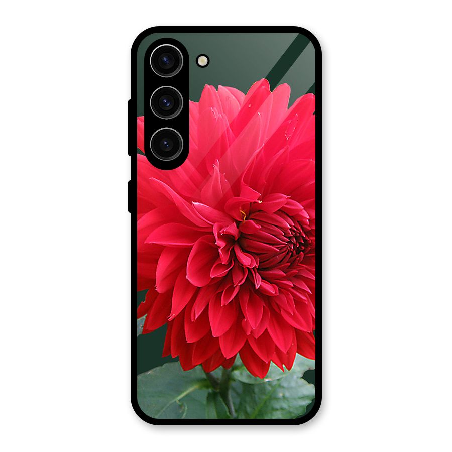 RedFlower. Glass Back Case for Galaxy S23