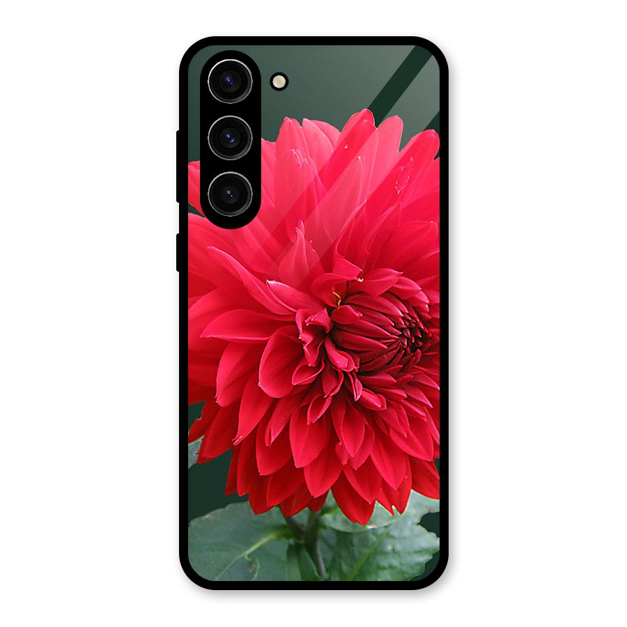 RedFlower. Glass Back Case for Galaxy S23 Plus