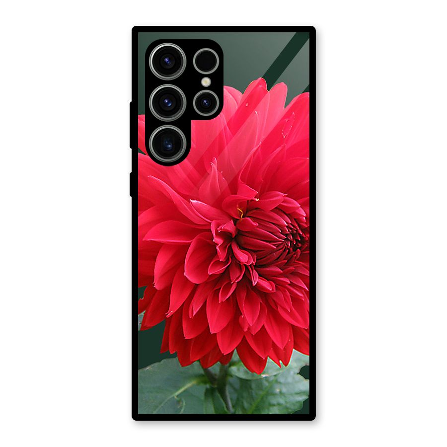 RedFlower. Glass Back Case for Galaxy S23 Ultra