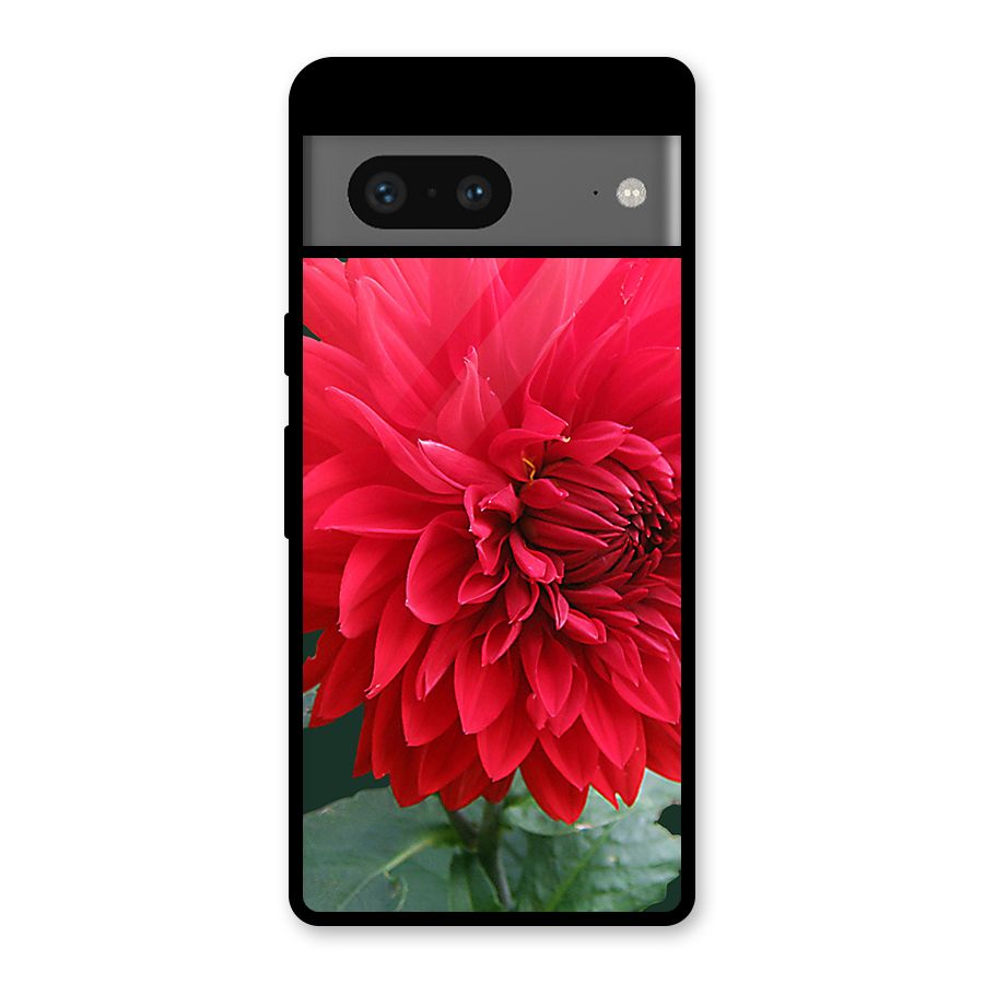 RedFlower. Glass Back Case for Google Pixel 7