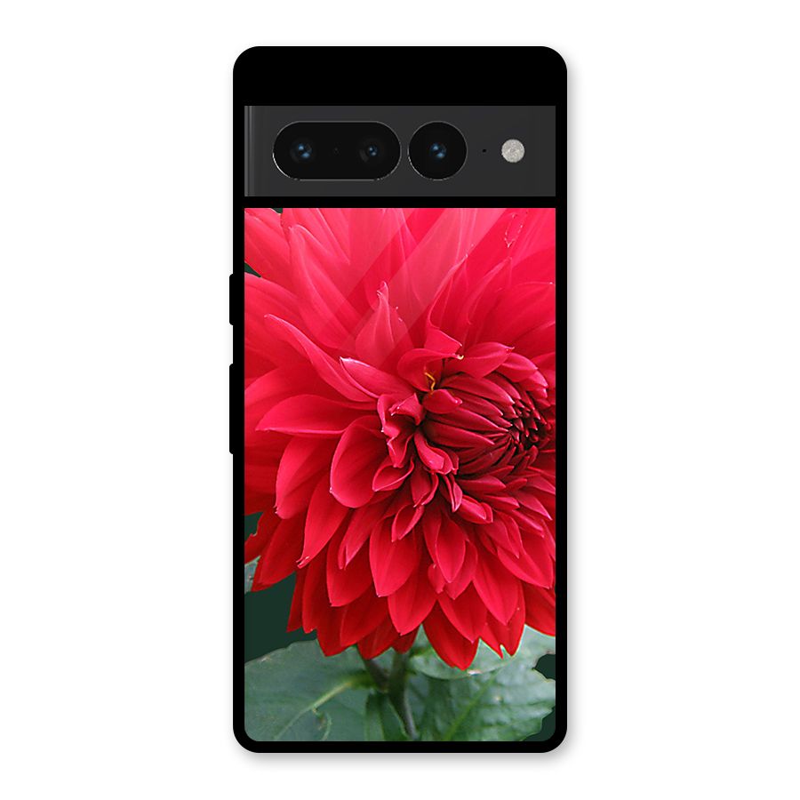 RedFlower. Glass Back Case for Google Pixel 7 Pro