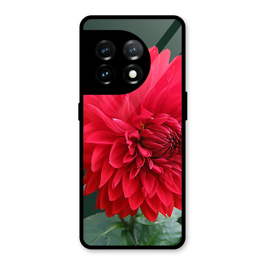 RedFlower. Glass Back Case for OnePlus 11