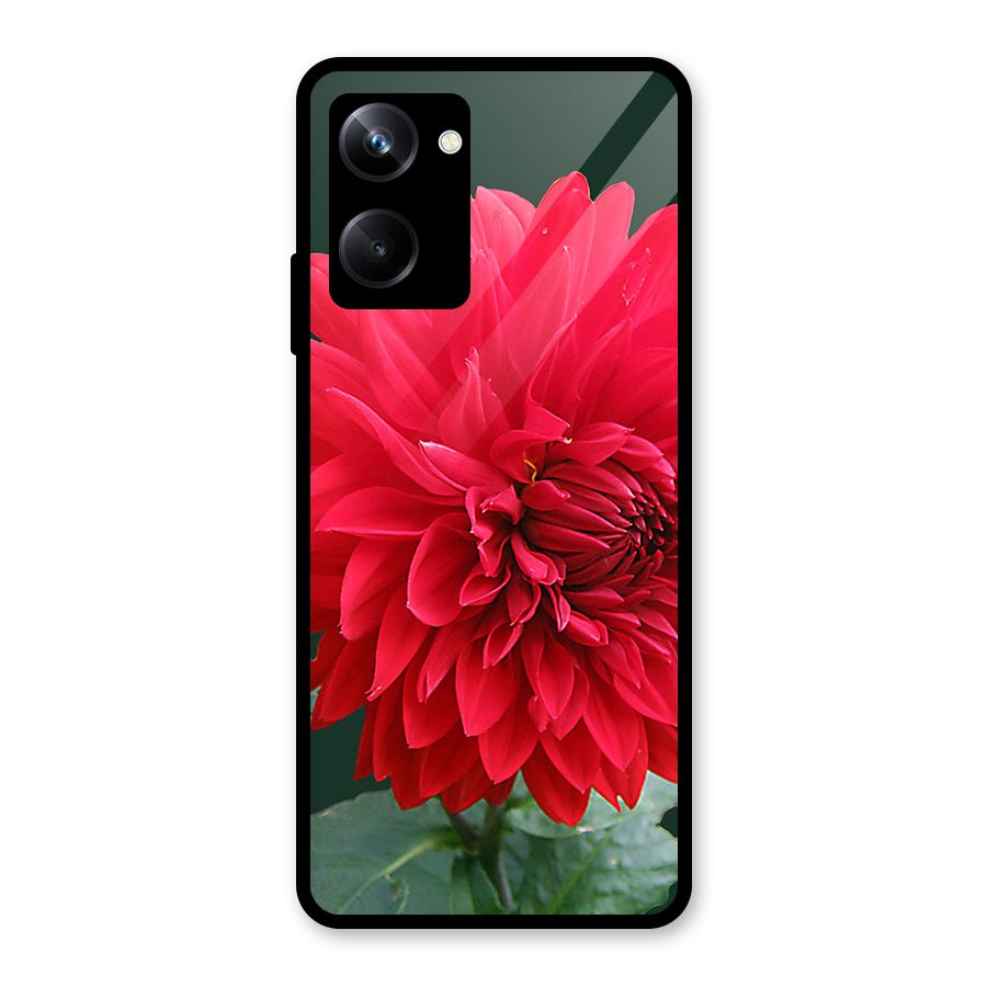 RedFlower. Glass Back Case for Realme 10 Pro