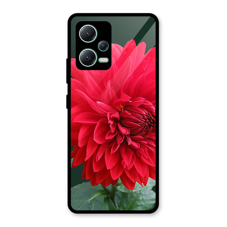 RedFlower. Glass Back Case for Redmi Note 12 5G