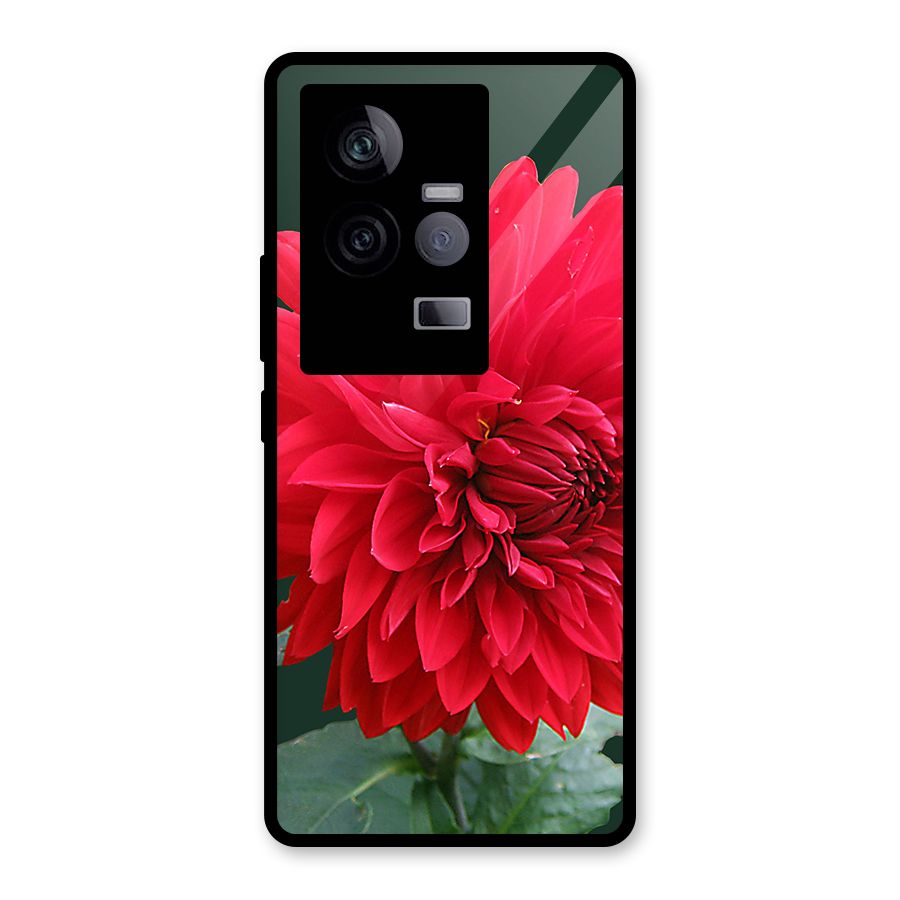 RedFlower. Glass Back Case for Vivo iQOO 11 5G