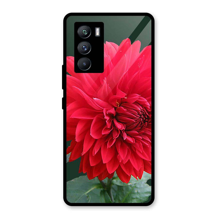 RedFlower. Glass Back Case for Vivo iQOO 9 SE