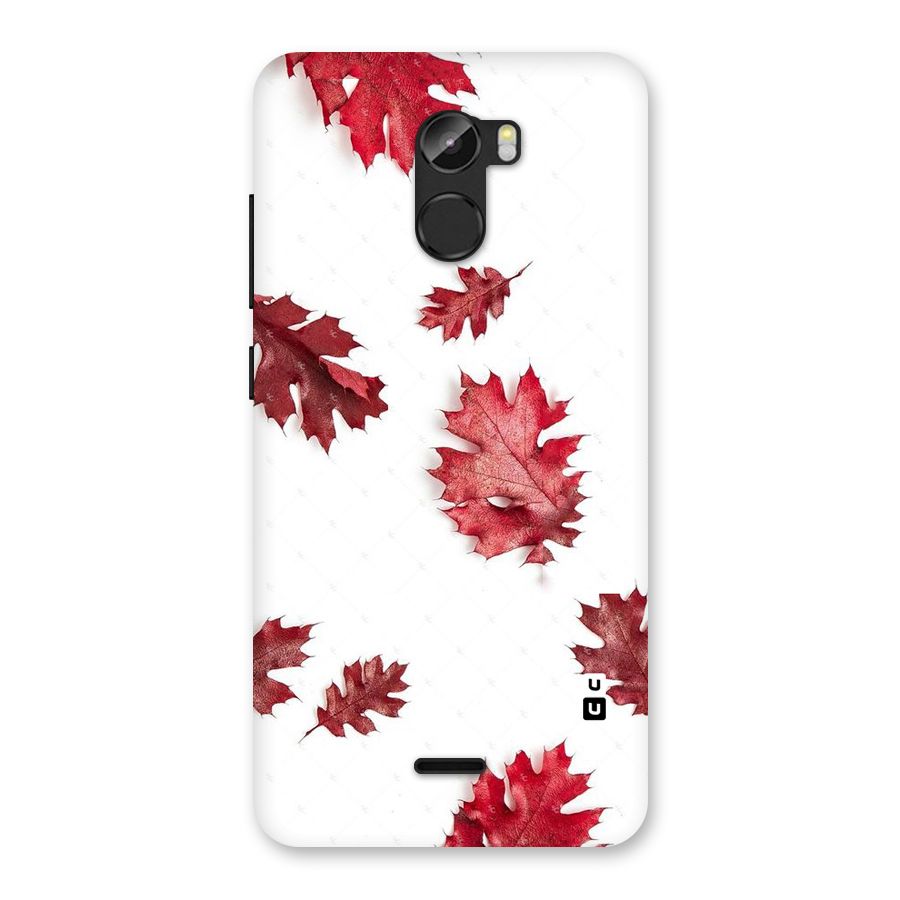 Red Appealing Autumn Leaves Back Case for Gionee X1