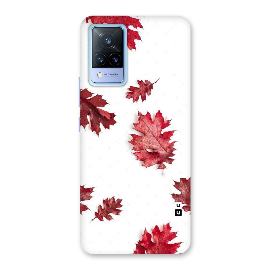 Red Appealing Autumn Leaves Back Case for Vivo V21 5G