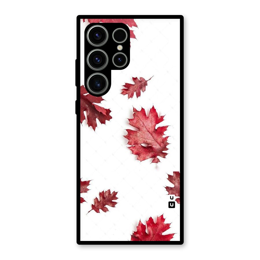 Red Appealing Autumn Leaves Glass Back Case for Galaxy S23 Ultra