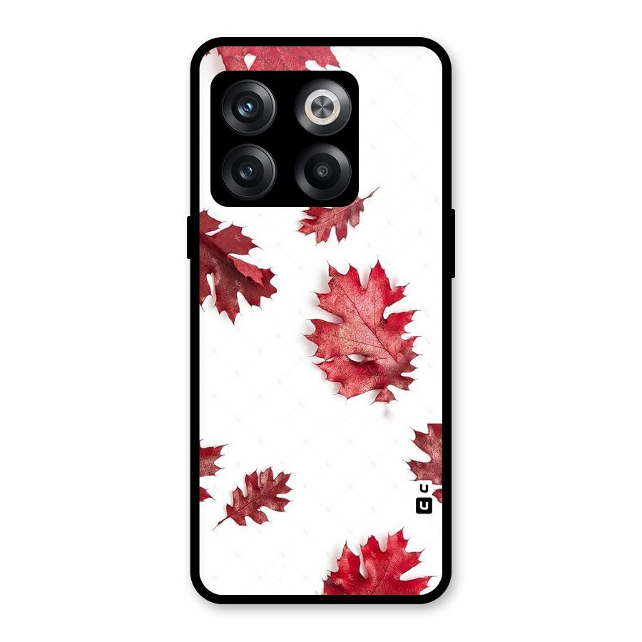 Red Appealing Autumn Leaves Glass Back Case for OnePlus 10T