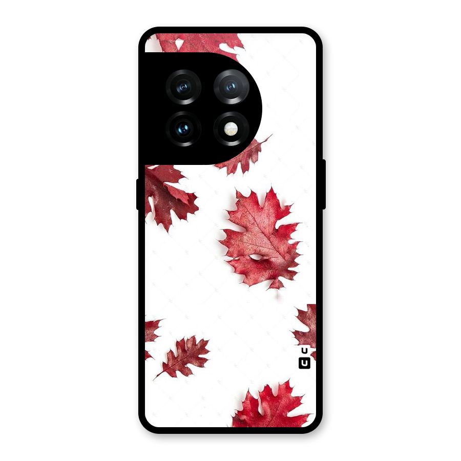 Red Appealing Autumn Leaves Glass Back Case for OnePlus 11