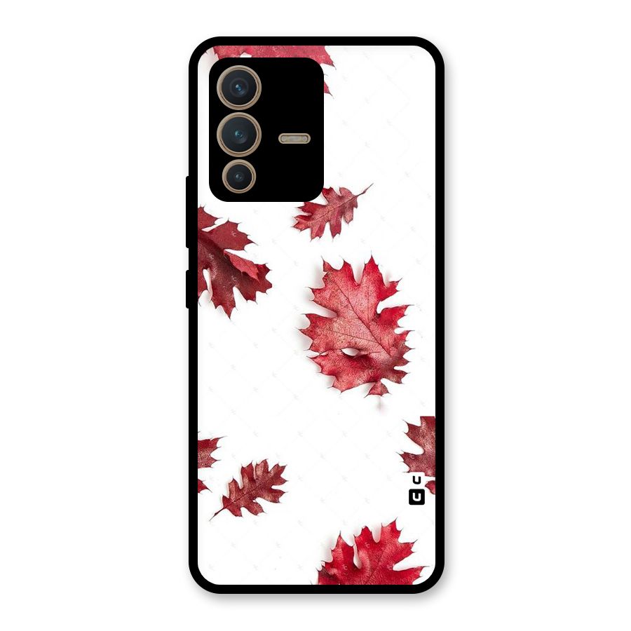 Red Appealing Autumn Leaves Glass Back Case for Vivo V23 5G