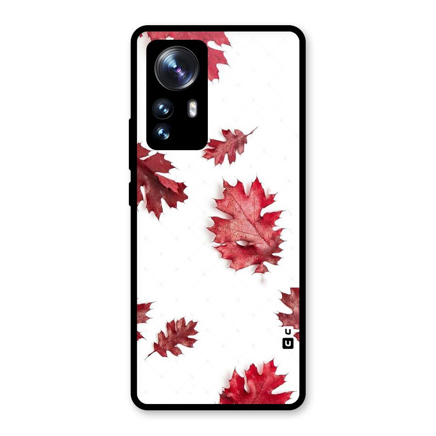 Red Appealing Autumn Leaves Glass Back Case for Xiaomi 12 Pro