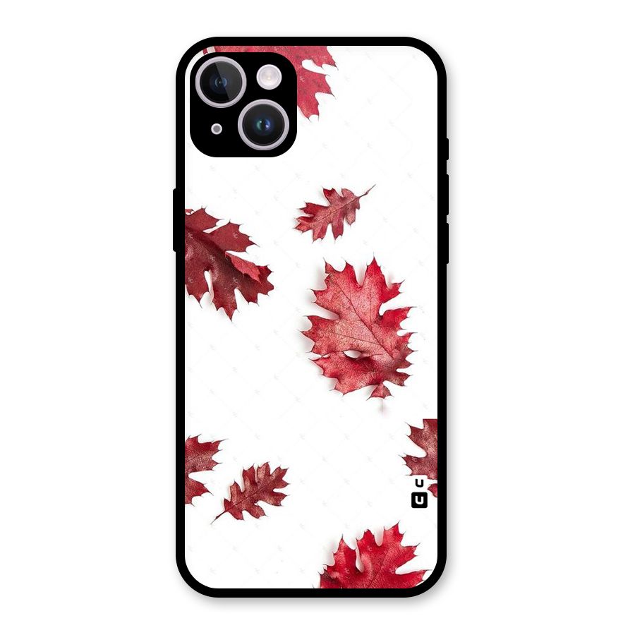 Red Appealing Autumn Leaves Glass Back Case for iPhone 14 Plus