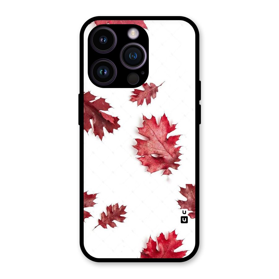 Red Appealing Autumn Leaves Glass Back Case for iPhone 14 Pro