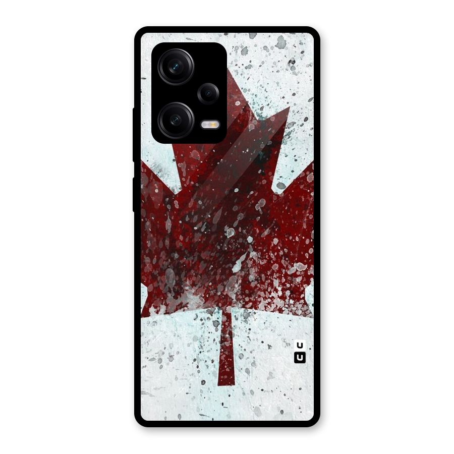 Red Maple Snow Glass Back Case for Redmi Note 12 Pro