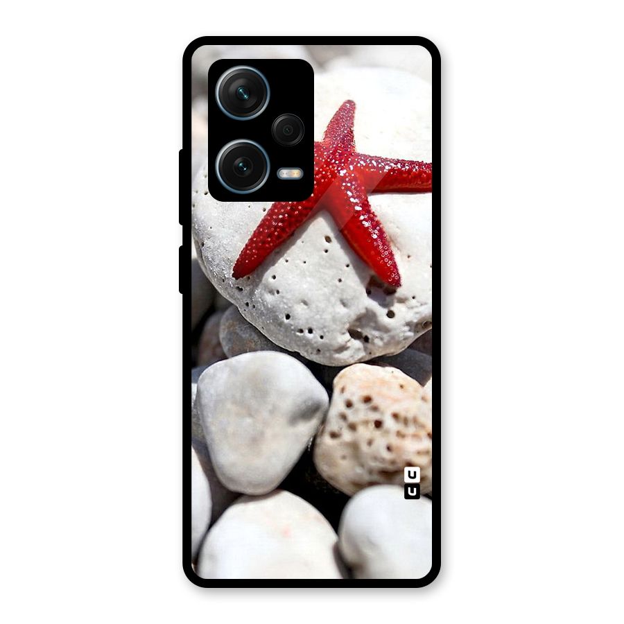 Red Star Fish Glass Back Case for Redmi Note 12 Pro Plus 5G