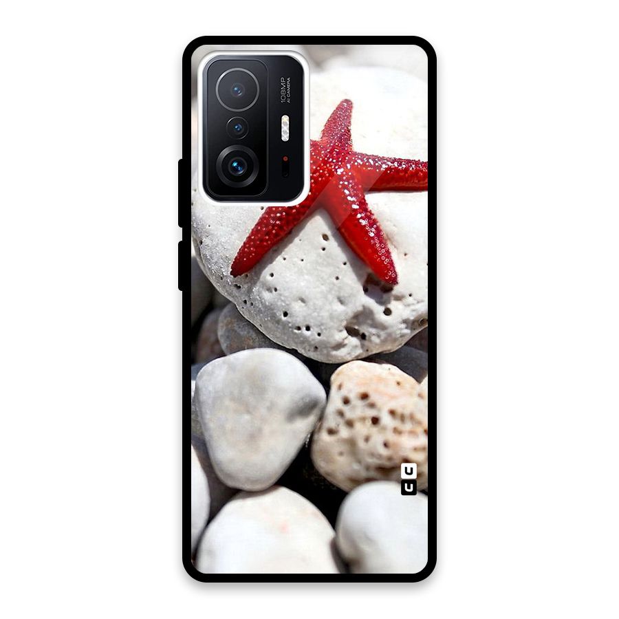 Red Star Fish Glass Back Case for Xiaomi 11T Pro