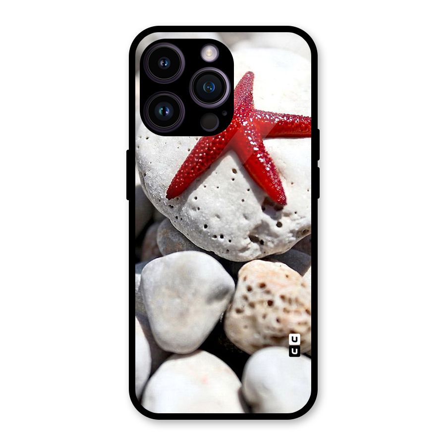 Red Star Fish Glass Back Case for iPhone 14 Pro Max