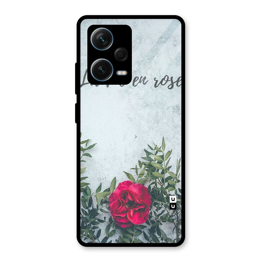 Rose Life Glass Back Case for Redmi Note 12 Pro Plus 5G