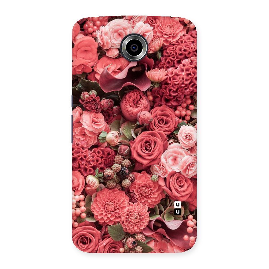 Shades Of Peach Back Case for Nexsus 6