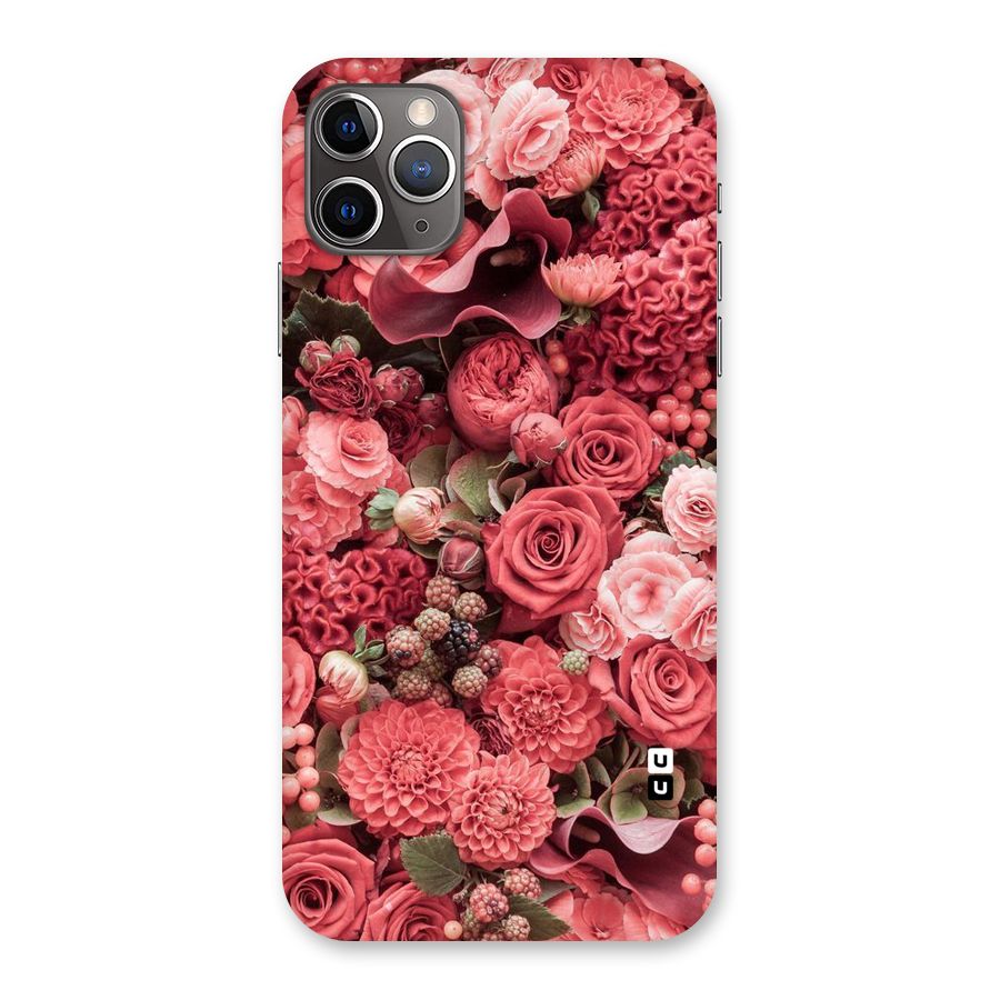 Shades Of Peach Back Case for iPhone 11 Pro Max