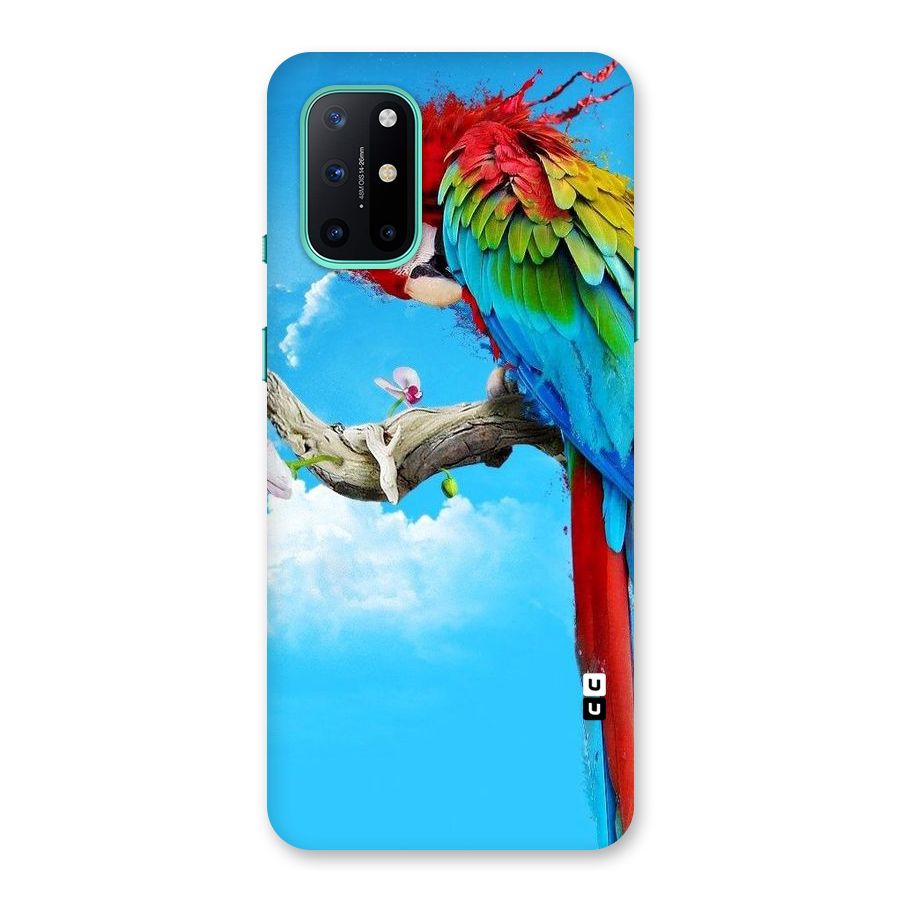 Sky Parrot Back Case for OnePlus 8T