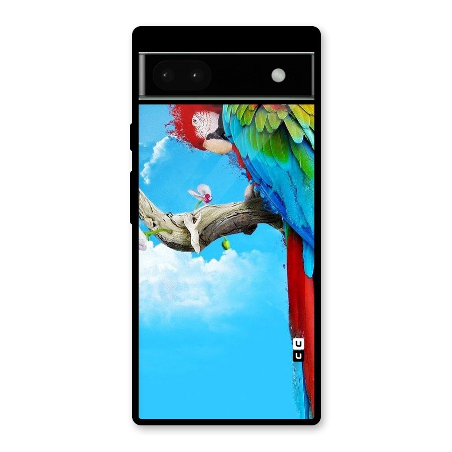 Sky Parrot Glass Back Case for Google Pixel 6a