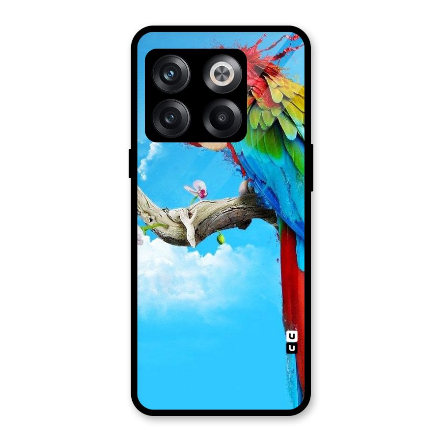 Sky Parrot Glass Back Case for OnePlus 10T