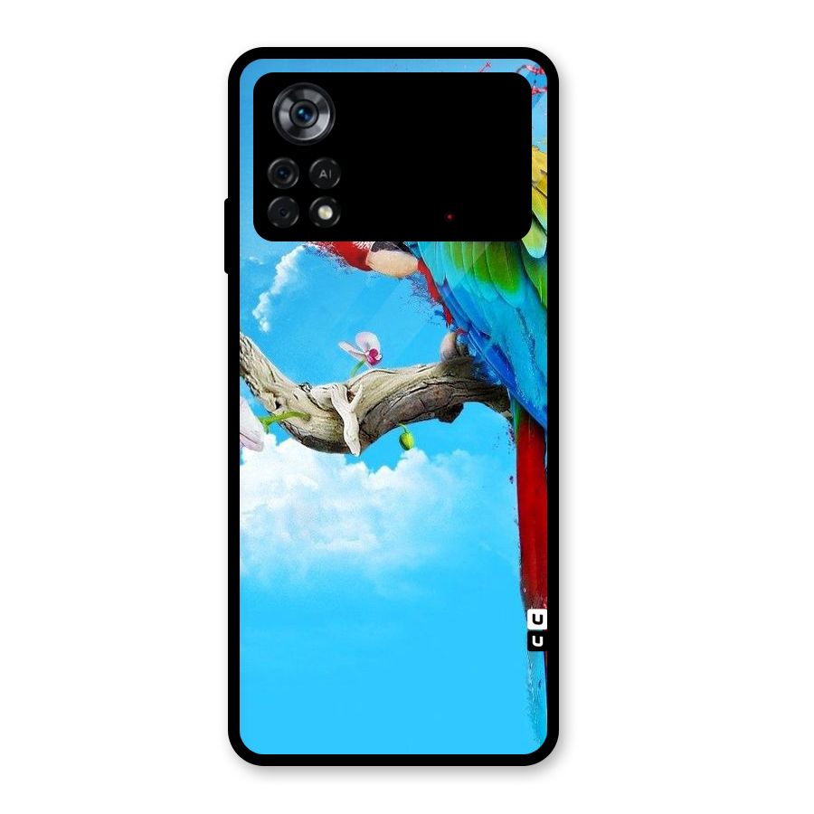 Sky Parrot Glass Back Case for Poco X4 Pro 5G