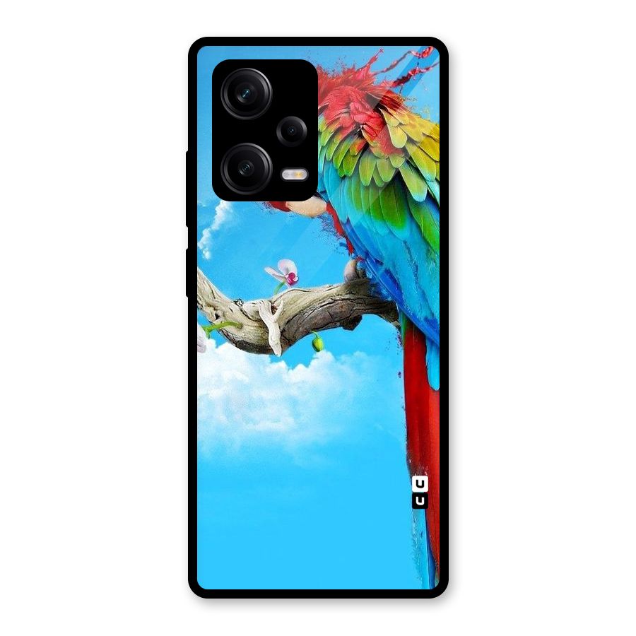 Sky Parrot Glass Back Case for Redmi Note 12 Pro