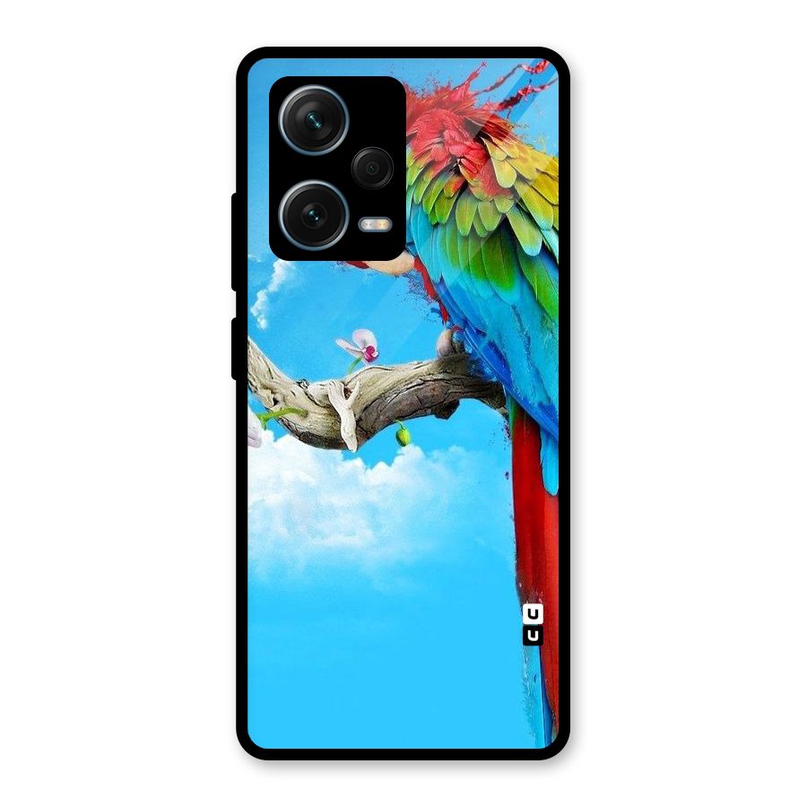 Sky Parrot Glass Back Case for Redmi Note 12 Pro Plus 5G