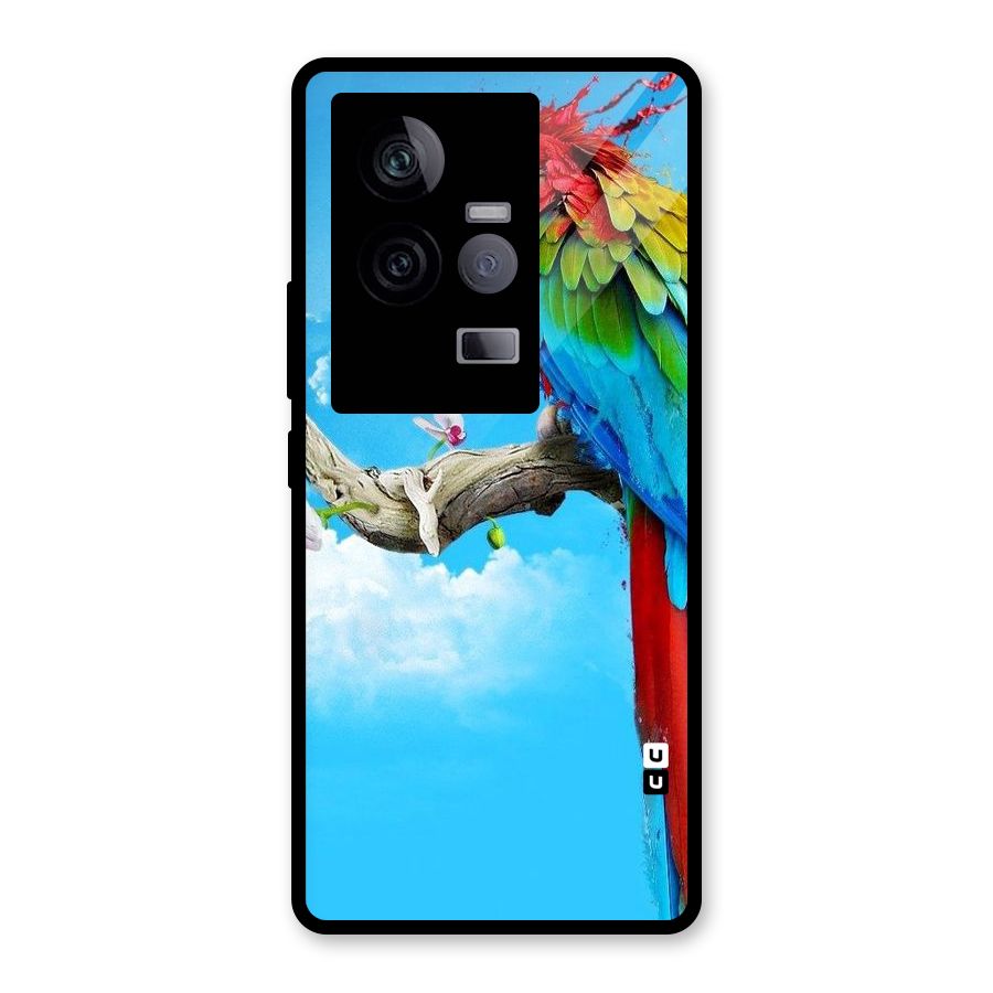 Sky Parrot Glass Back Case for Vivo iQOO 11 5G