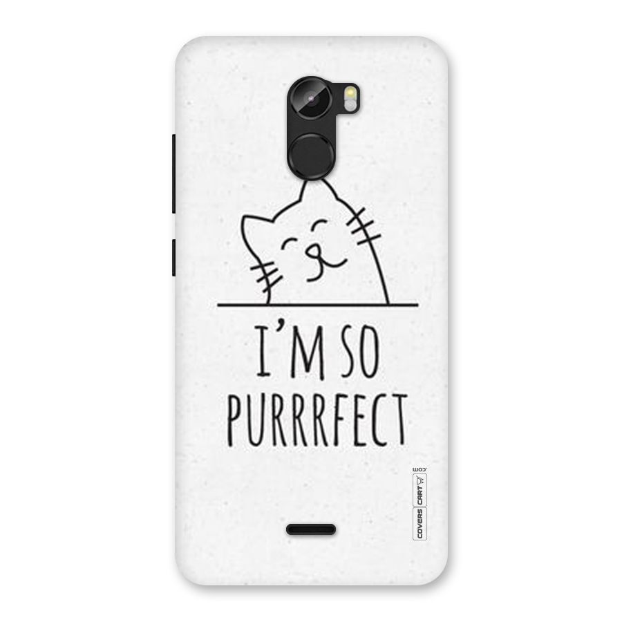 So Purrfect Back Case for Gionee X1