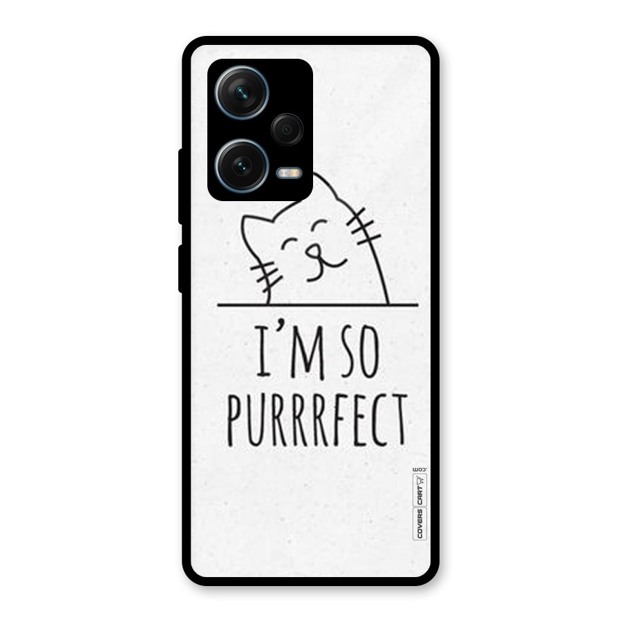 So Purrfect Glass Back Case for Redmi Note 12 Pro Plus 5G