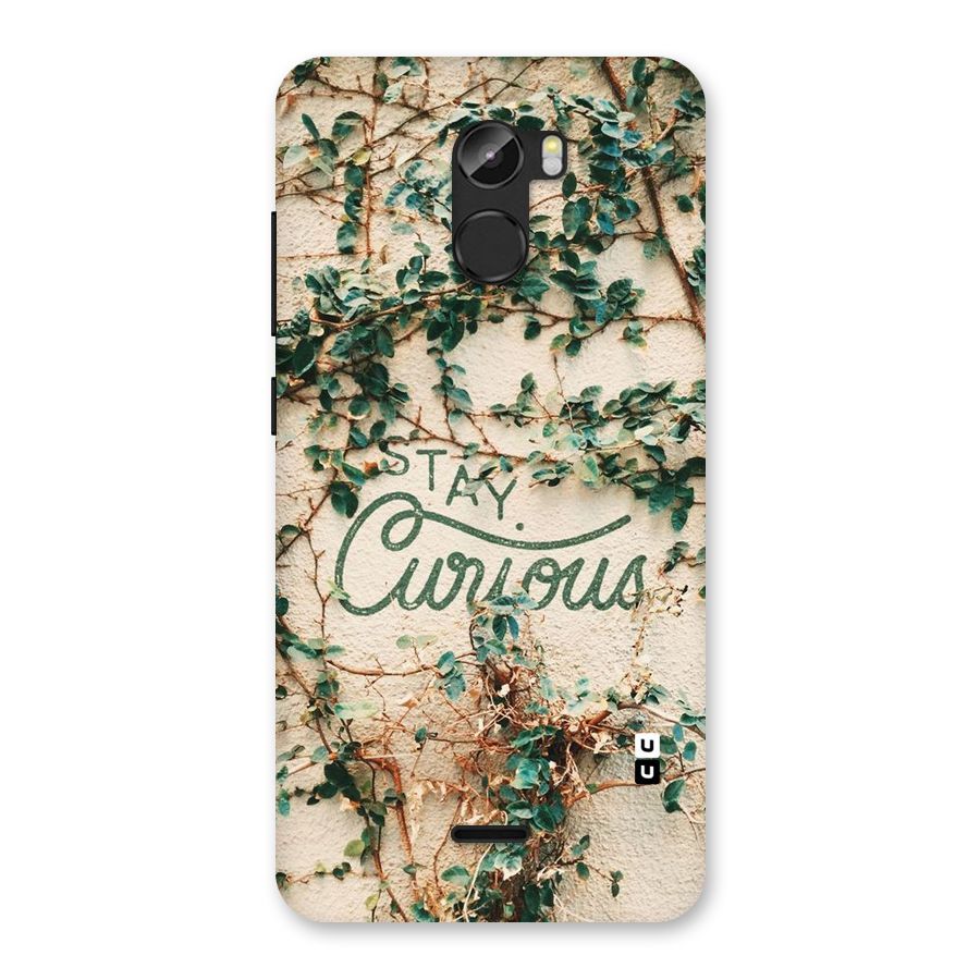 Stay Curious Back Case for Gionee X1