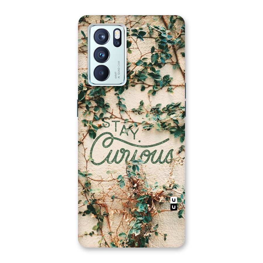 Stay Curious Back Case for Oppo Reno6 Pro 5G