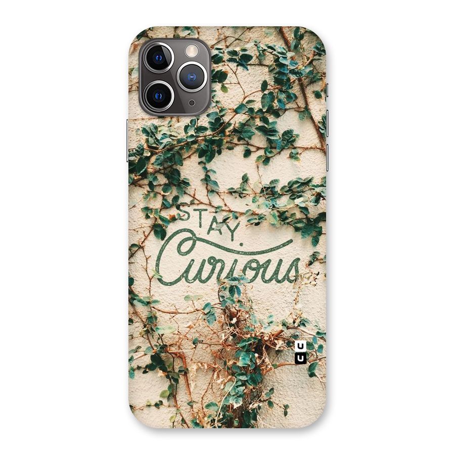Stay Curious Back Case for iPhone 11 Pro Max