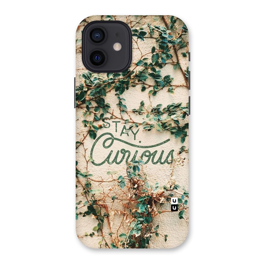Stay Curious Back Case for iPhone 12