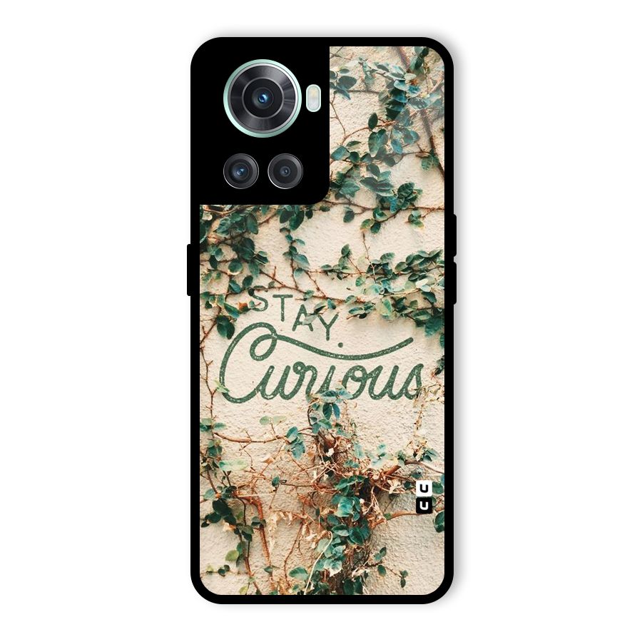 Stay Curious Glass Back Case for OnePlus 10R