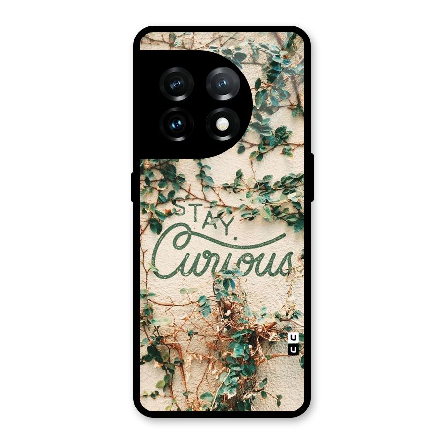 Stay Curious Glass Back Case for OnePlus 11